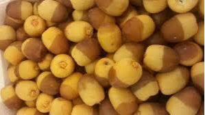 رطب روثانة