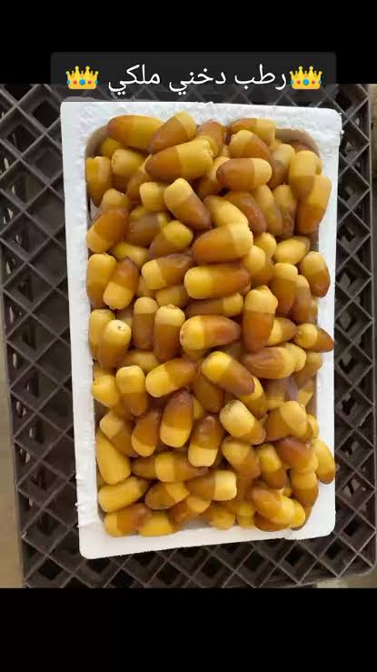 رطب سلج